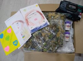 Допомога військовим